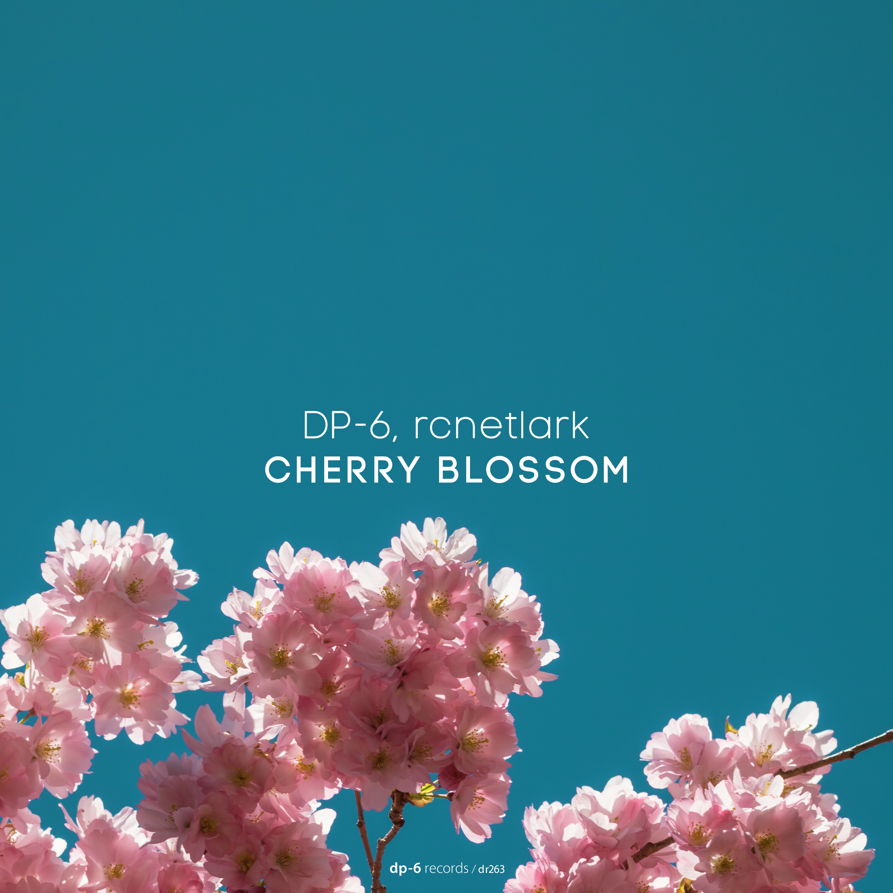 DP-6, rcnetlark: Cherry Blossom