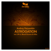 Andrey Potyomkin - Astrogation