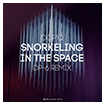 Dop'q: Snorkeling in the space (DP-6 remix)
