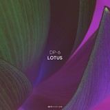 DR198 DP-6: Lotus