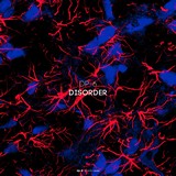 DR204 DP-6: Disorder