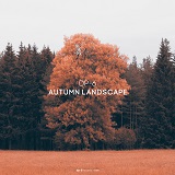 DP-6: Autumn Landscape
