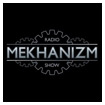 DP-6  MEKHANIZM