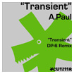 A PAUL TRANSIENT DP-6 REMIX
