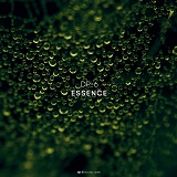 DP-6: Essence