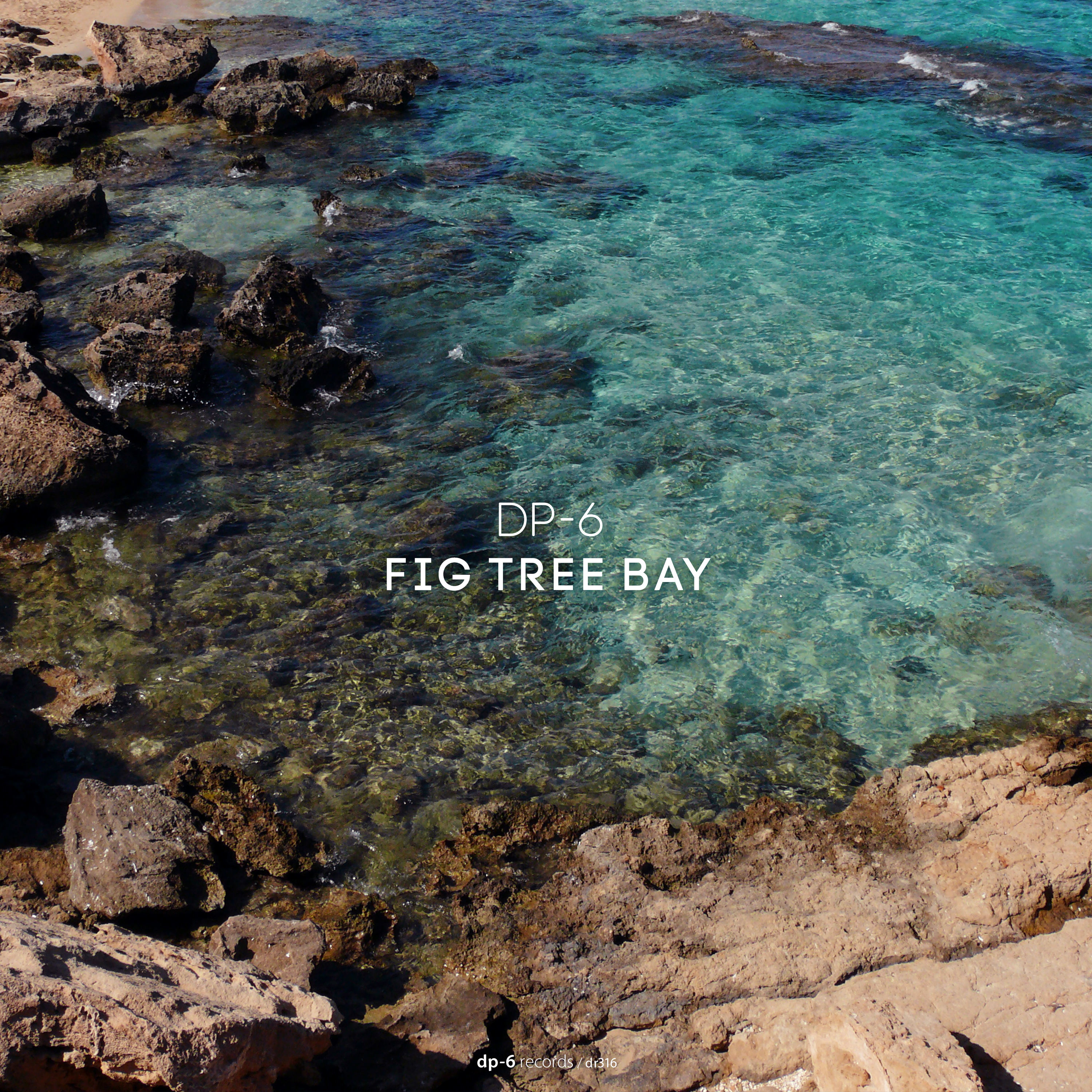 DP-6: Fig Tree Bay