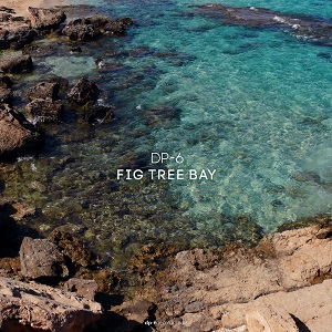 DP-6: Fig Tree Bay