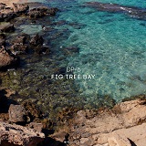 DP-6: Fig Tree Bay